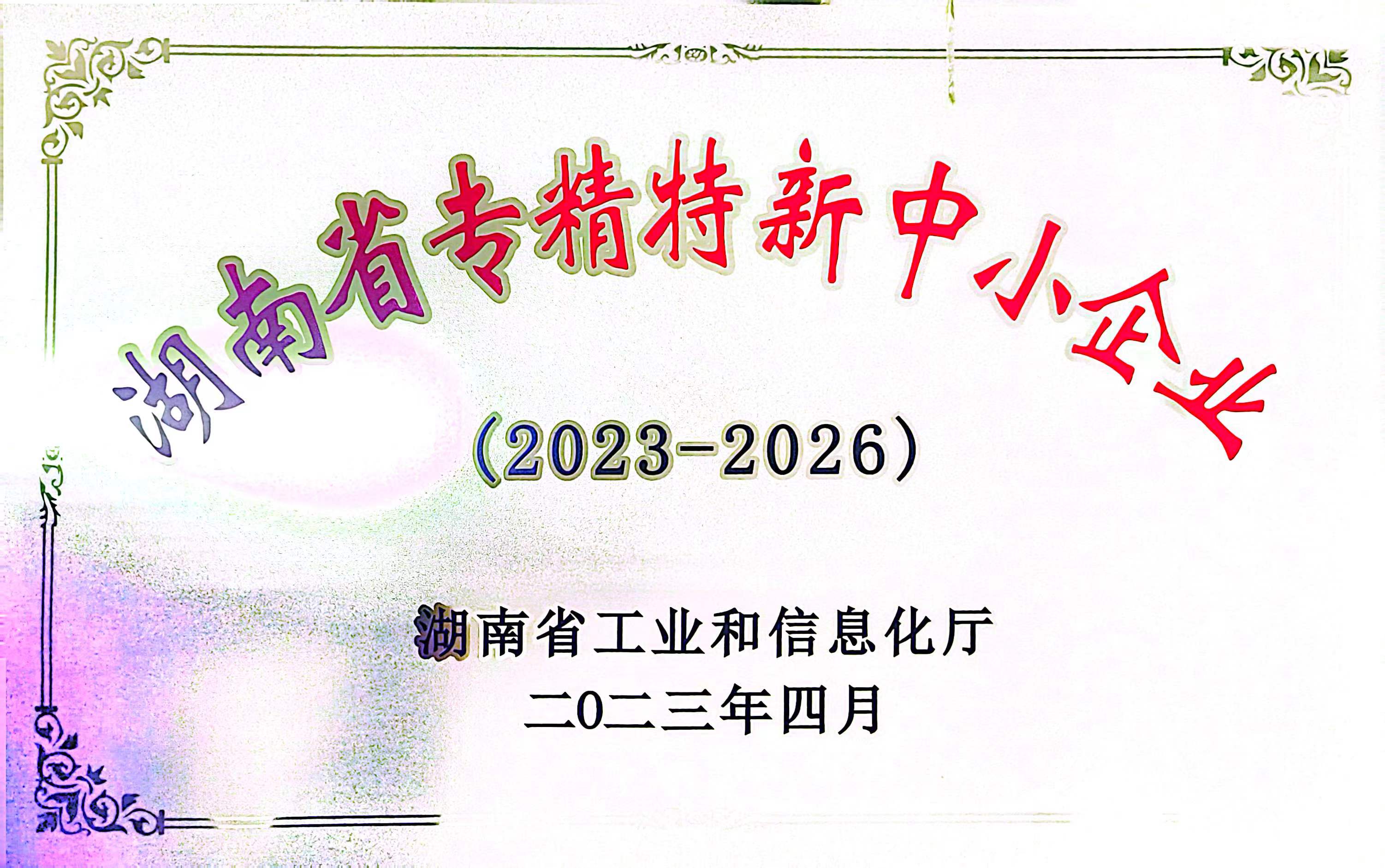 【金鼎】湖南省专精特新企业